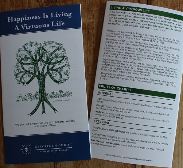 Virtue Chart Packs - Image 3