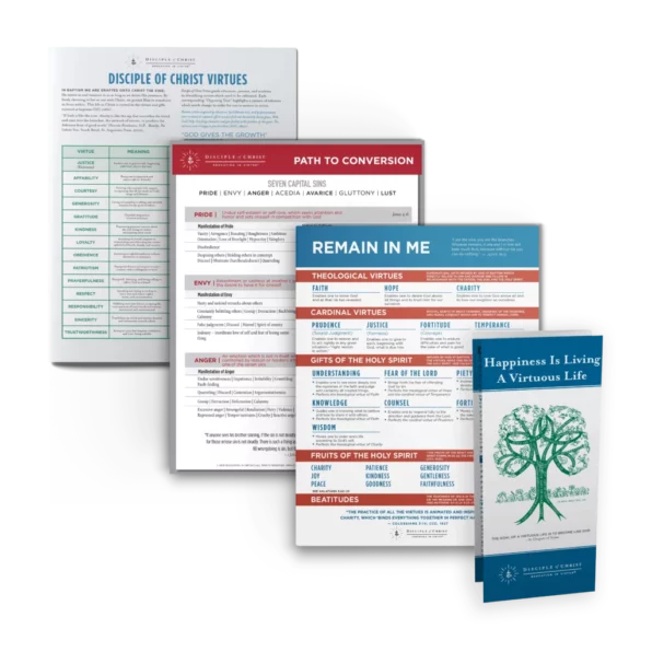 Virtue Chart Packs