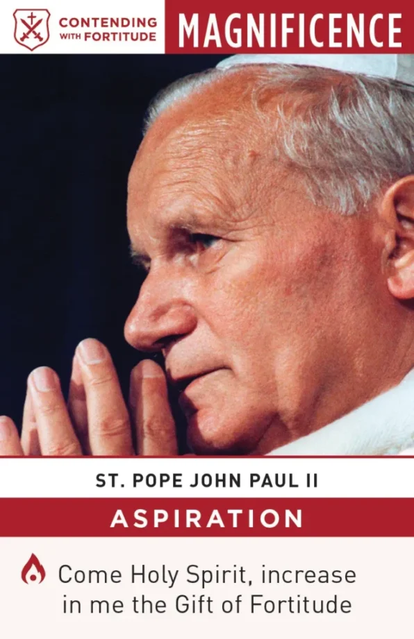 Saint Cards Volume I (Sets 1 and 2) - Image 11