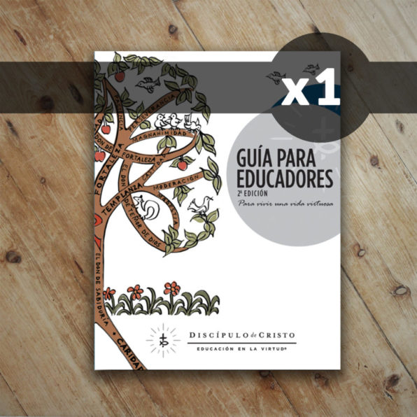Spanish Bundle - Image 4