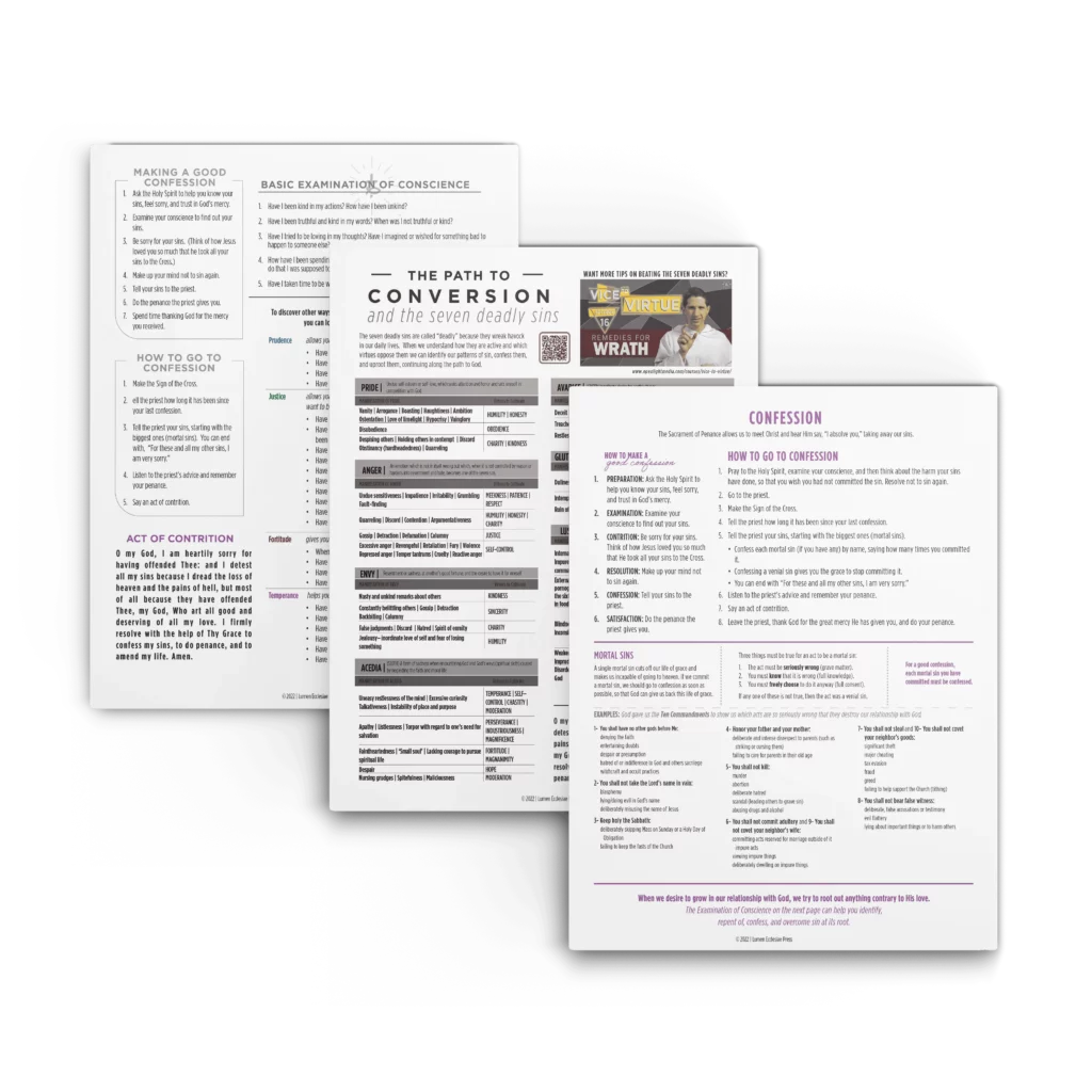 Examination of Conscience Bundle