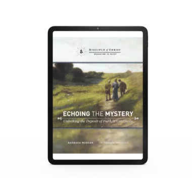 Echoing the Mystery | eBook Version