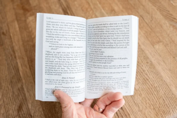 Gospels and Acts Pocket Bible (Revised) - Image 5