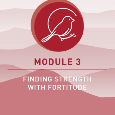 Secure in Grace Teacher's Manual, Module 3