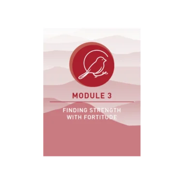 Secure in Grace Teacher's Manual, Module 3